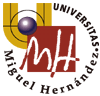 Bachelor of Telecommunications Engineering at UMH - Universidad Miguel Hernández - Elche, Spain